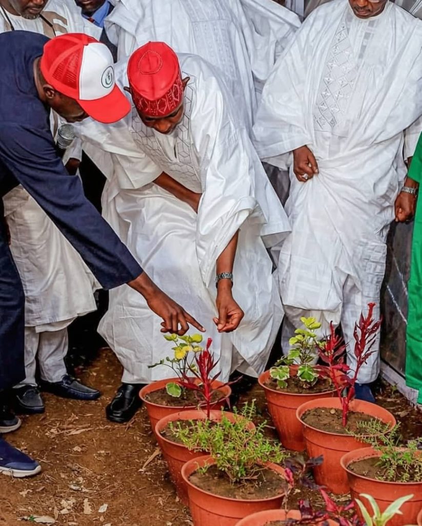 whatsapp image 2025 10 20 at 8.51.32 pm (1)