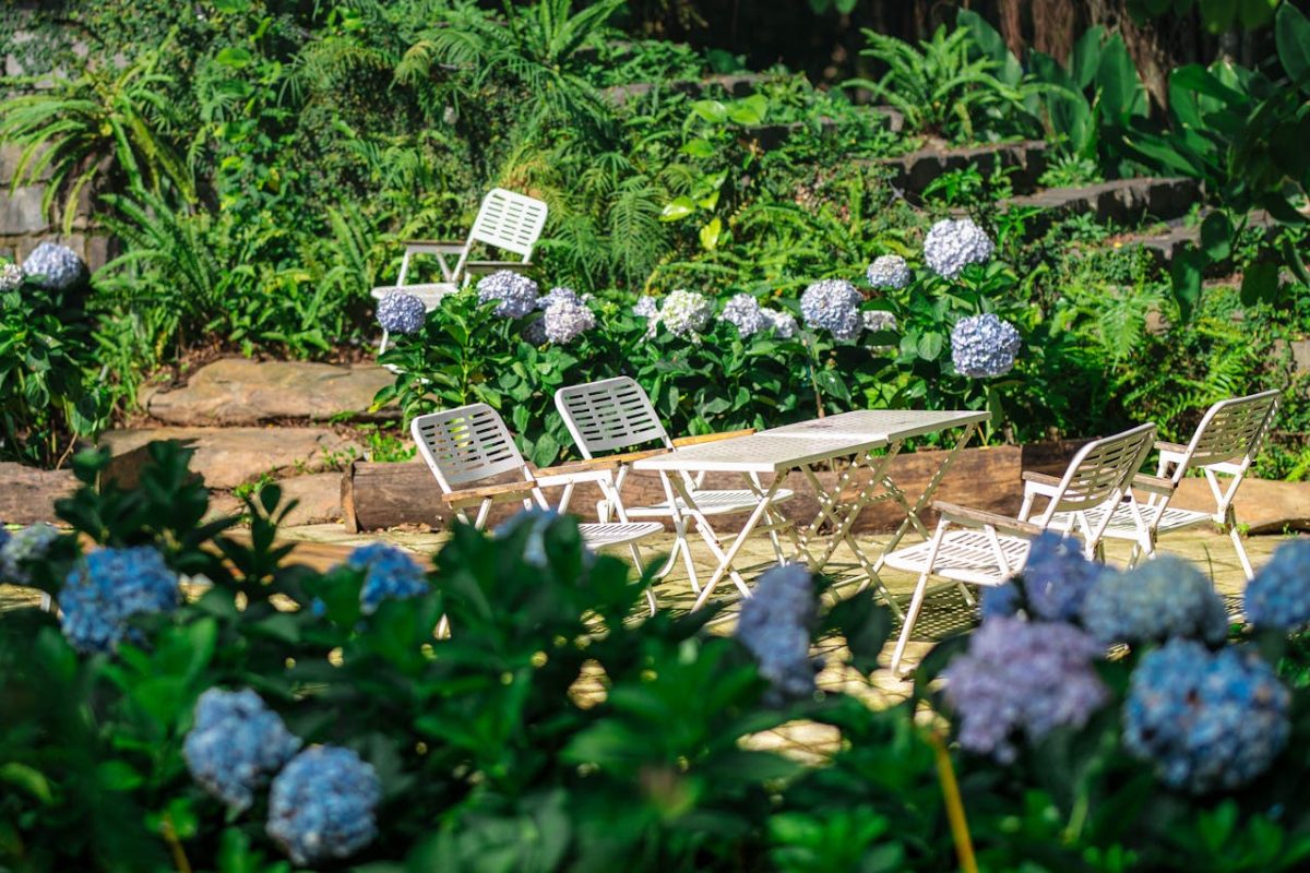 pexels photo 34110085 Idyllic garden patio featuring white metal furniture surrounded by lush greenery and blooming hydrangeas.